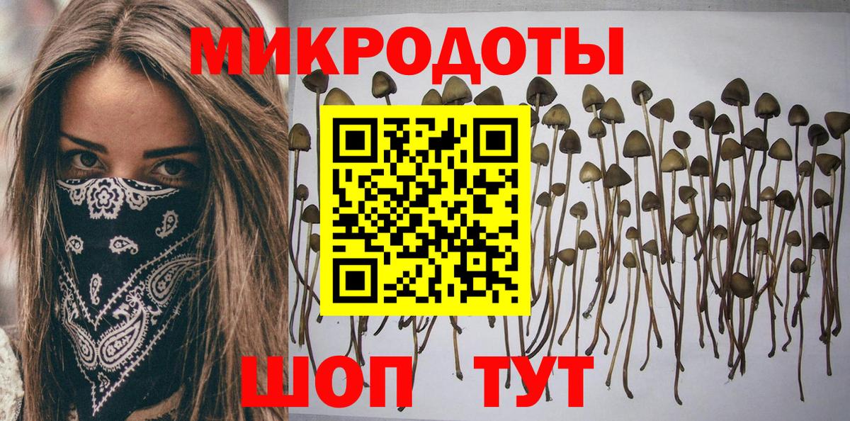 Псилоцибиновые грибы Cubensis Шумерля